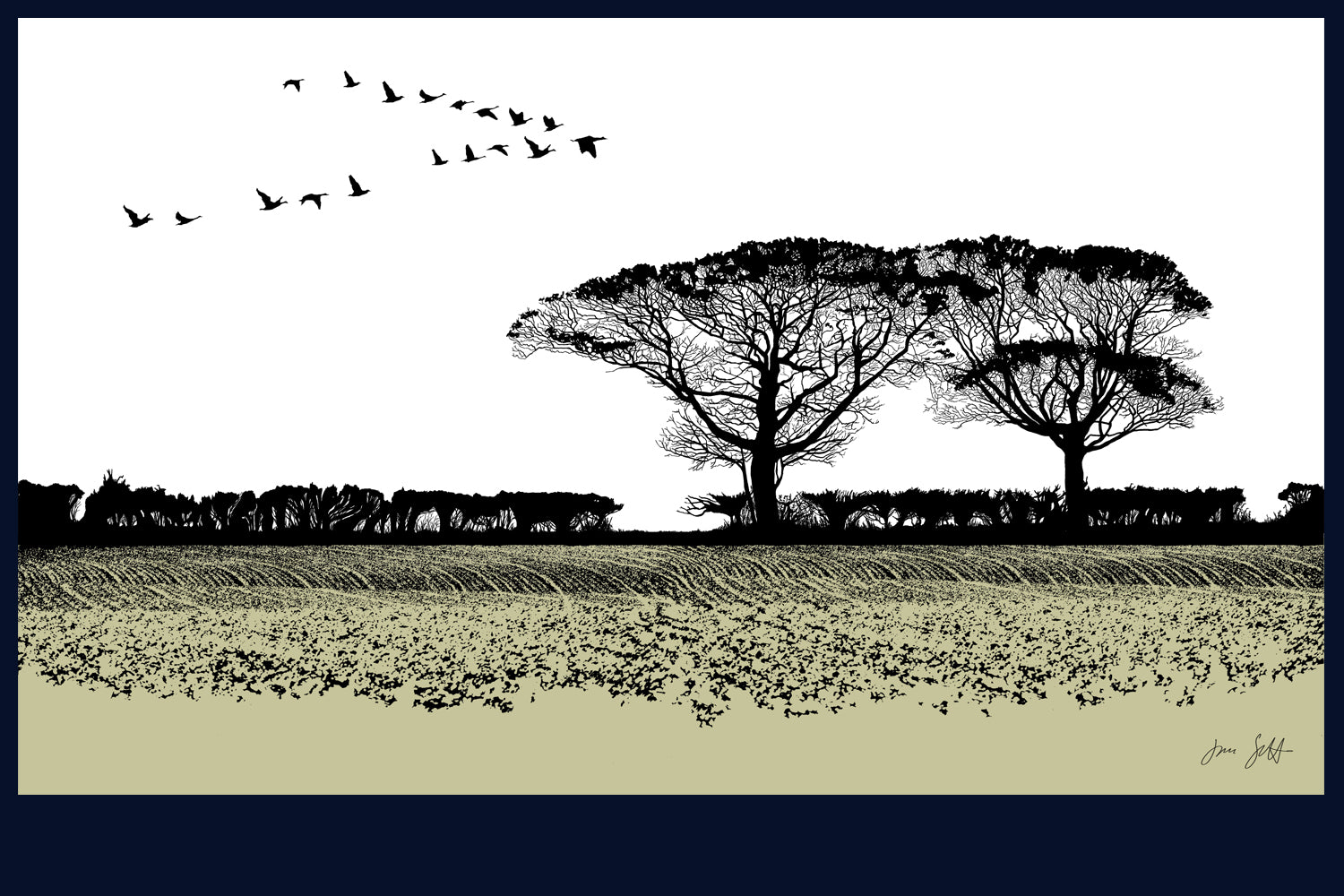 Geese, Norfolk. Fine art print