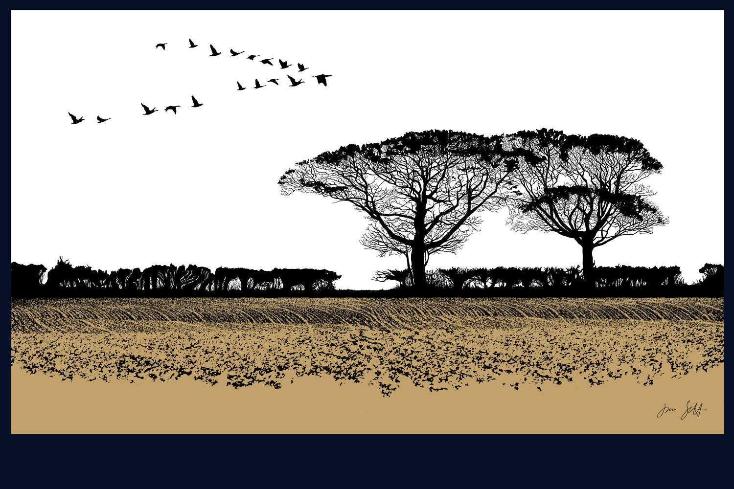 Geese, Norfolk. Fine art print