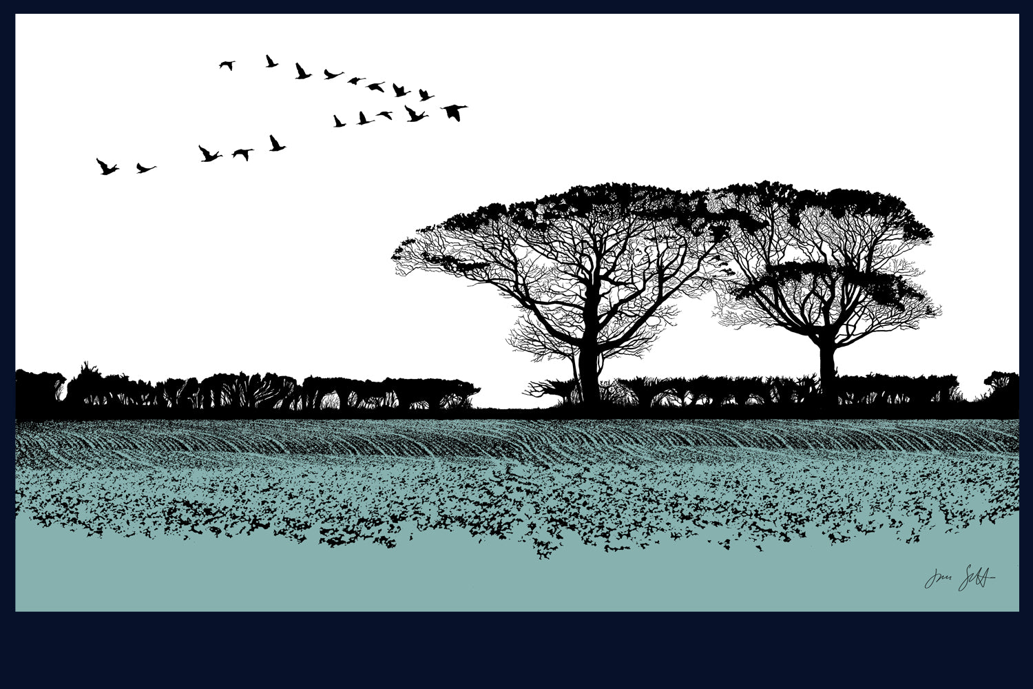 Geese, Norfolk. Fine art print