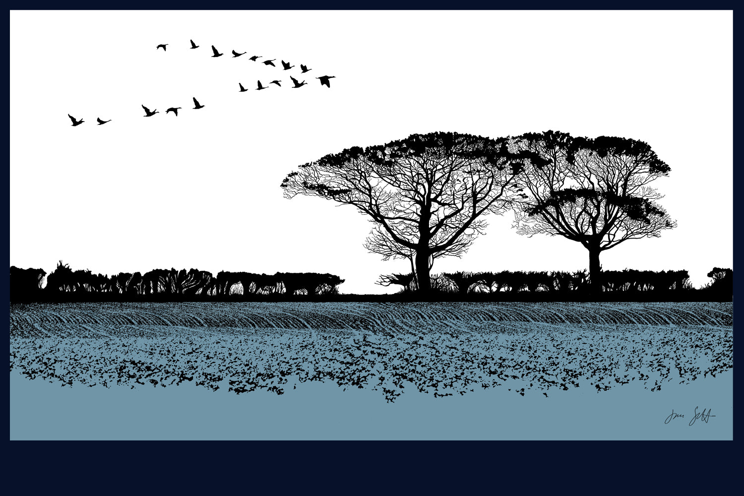 Geese, Norfolk. Fine art print