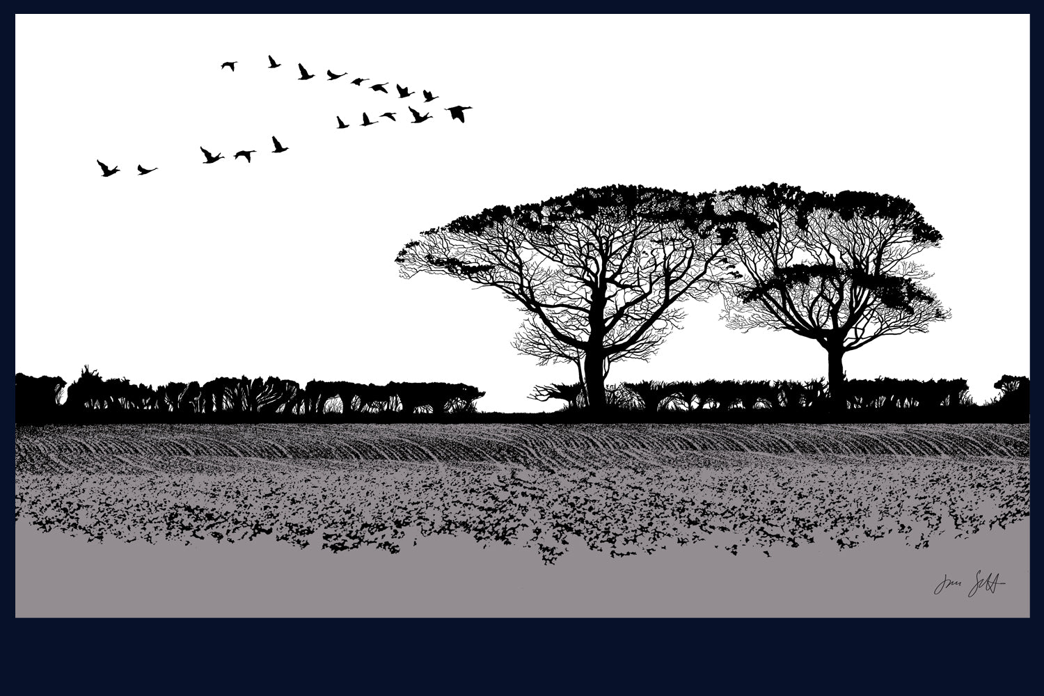 Geese, Norfolk. Fine art print