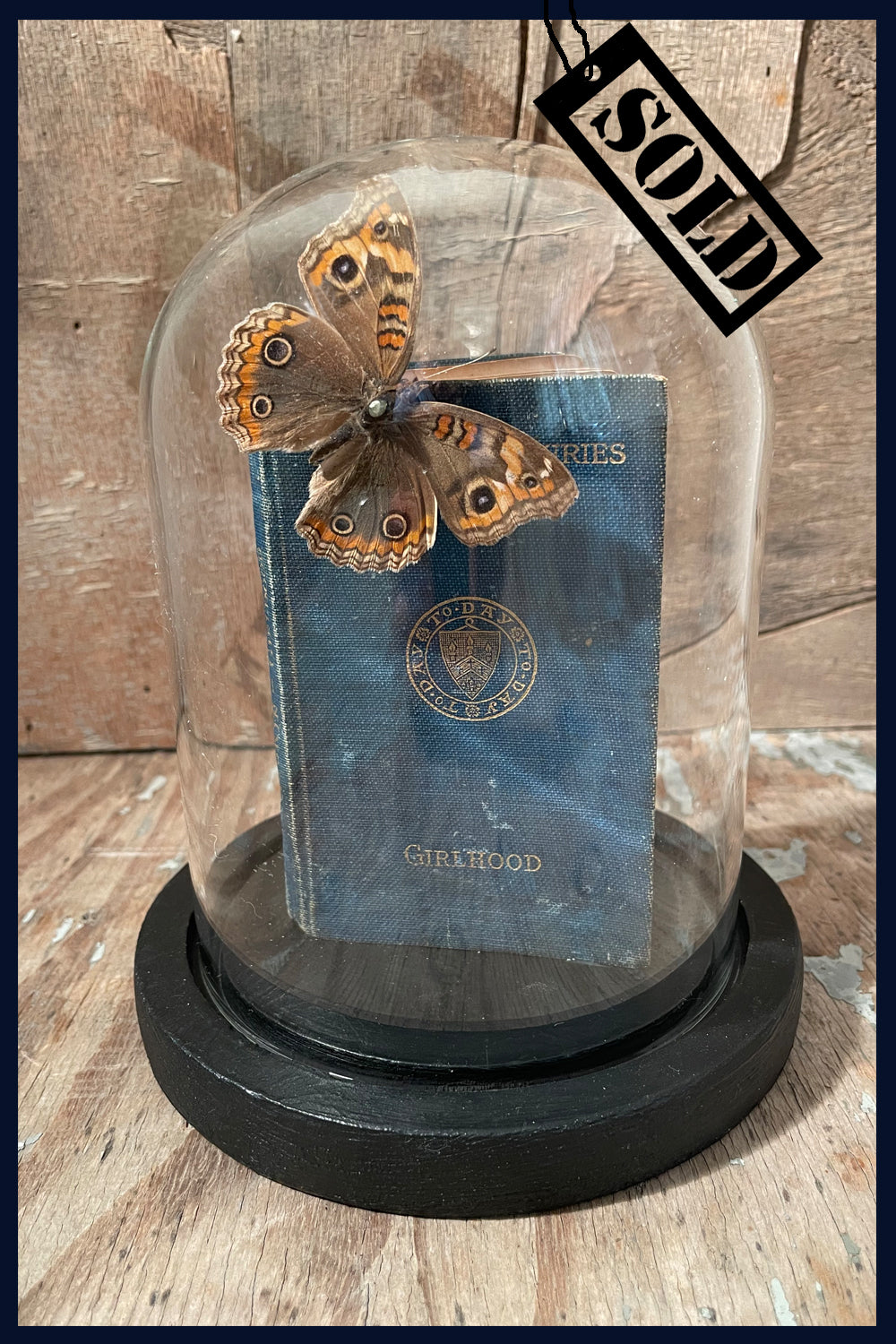 Enigma Variations Collection: Tiny 1907 Ruskin's 'Girlhood' Book with a Real Butterfly in a Display Dome