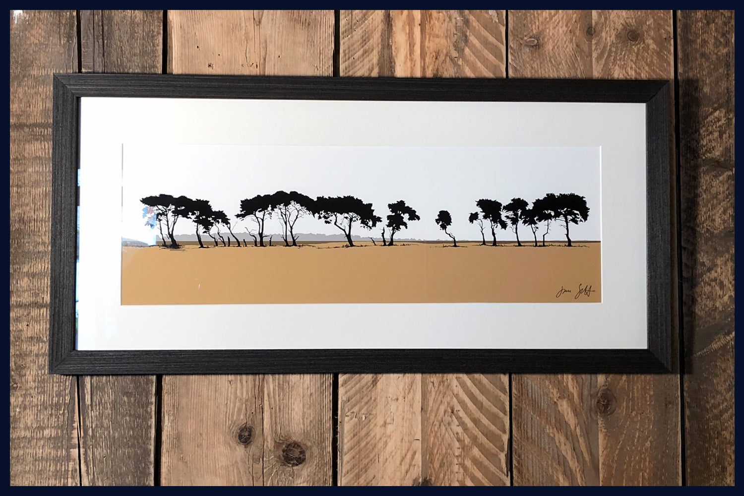 Gooderstone Pines, Breckland, Norfolk. Framed fine art print by Jac Scott.
