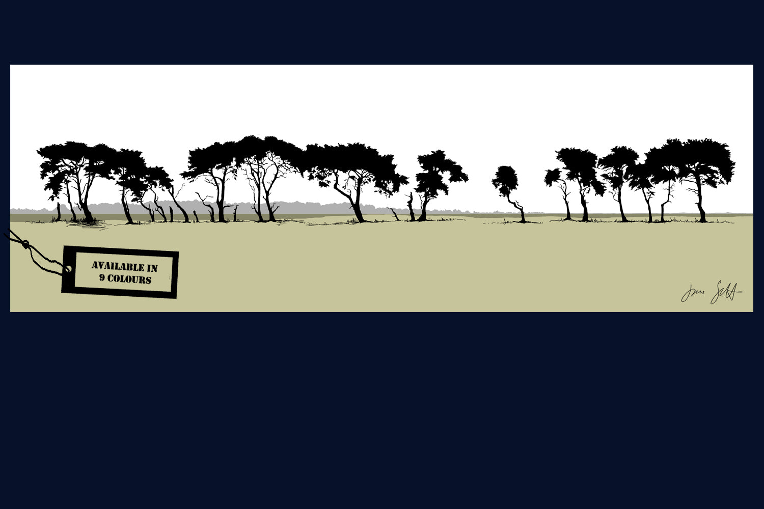 Gooderstone Pines, Breckland, Norfolk. Framed fine art print by Jac Scott.