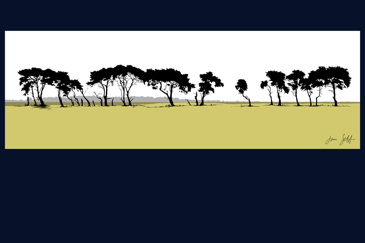 Gooderstone Pines, Breckland, Norfolk. Framed fine art print by Jac Scott.