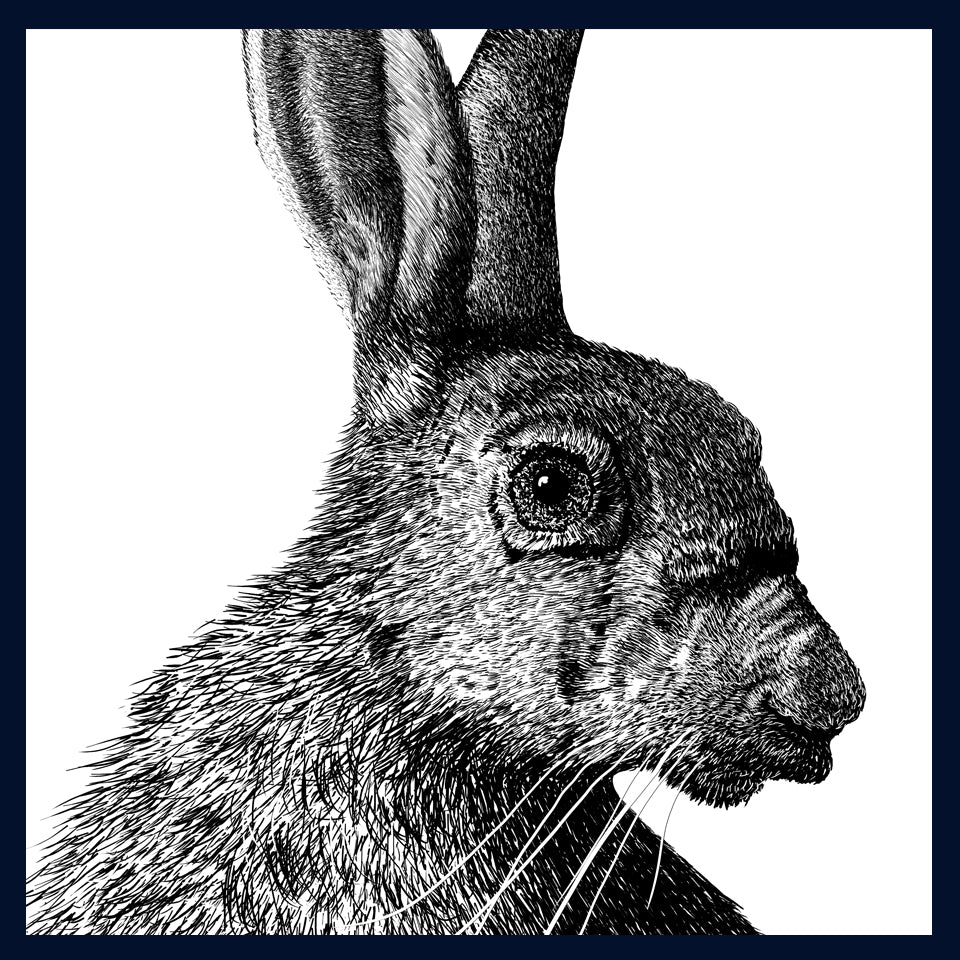 Hard stare hare 2 Norfolk limited edition fine art print by Jac Scott