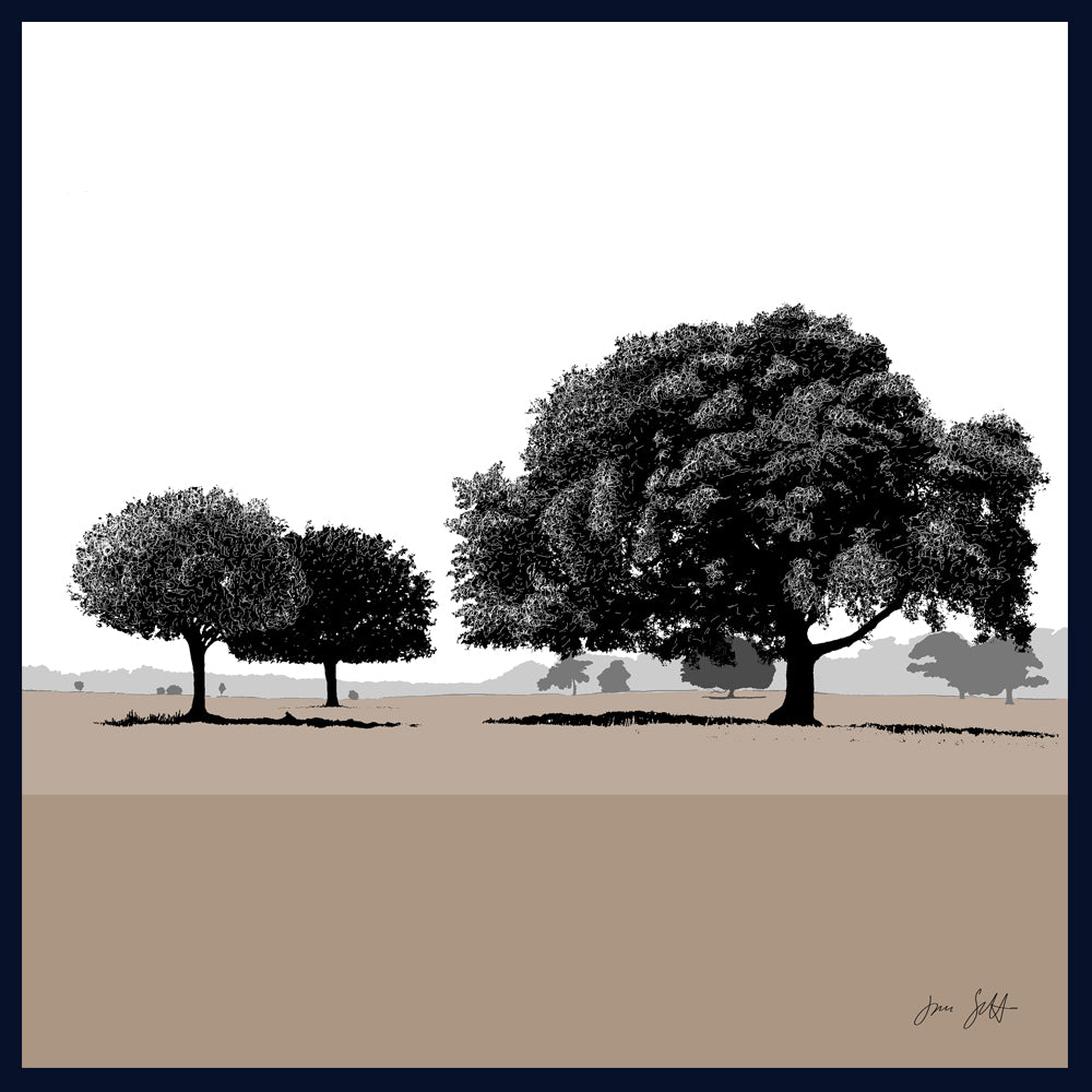 Holm Oaks, Norfolk. Framed fine art print by Jac Scott.