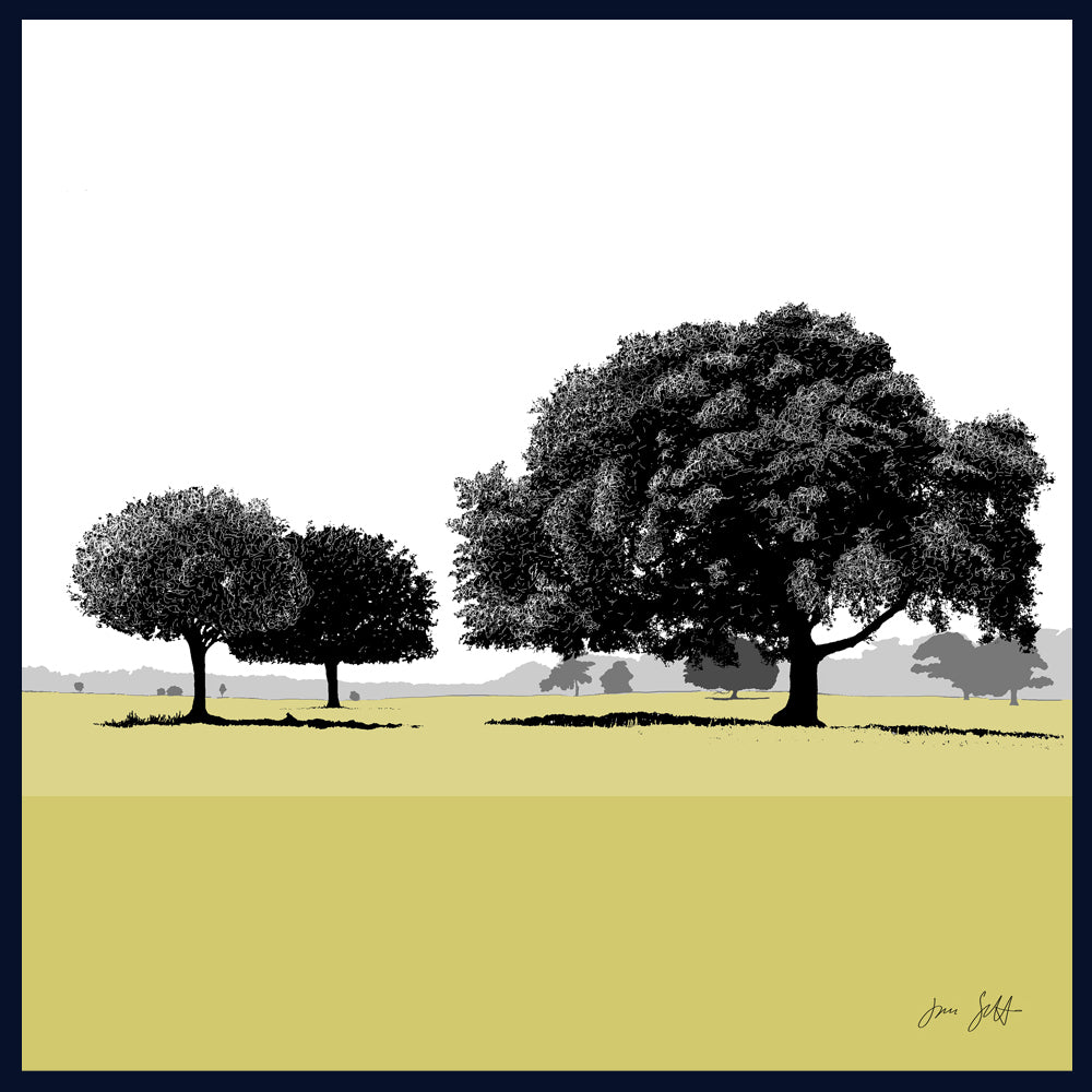 Holm Oaks, Norfolk. Framed fine art print by Jac Scott.