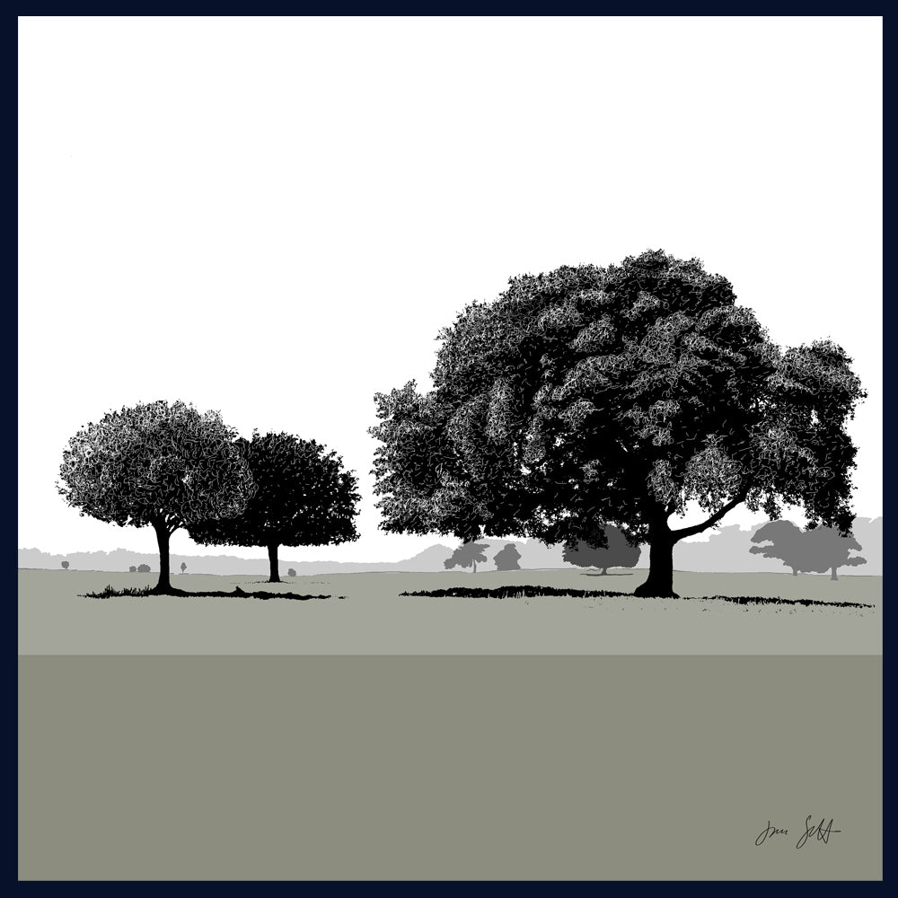 Holm Oaks, Norfolk. Framed fine art print by Jac Scott.