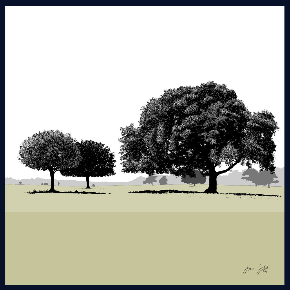 Holm Oaks, Norfolk. Framed fine art print by Jac Scott.