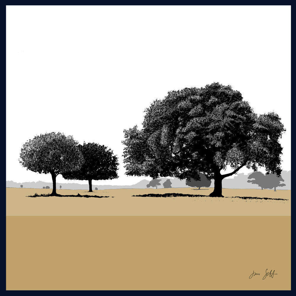 Holm Oaks, Norfolk. Framed fine art print by Jac Scott.