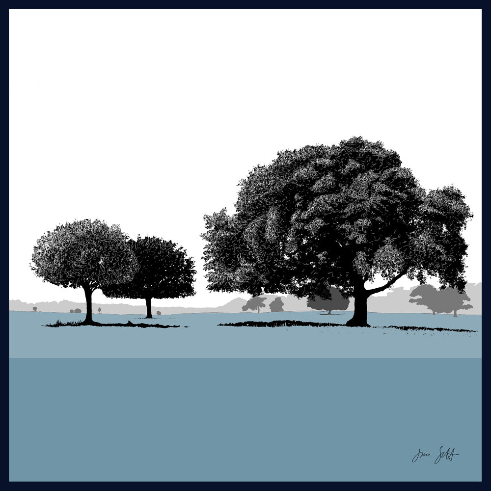 Holm Oaks, Norfolk. Framed fine art print by Jac Scott.