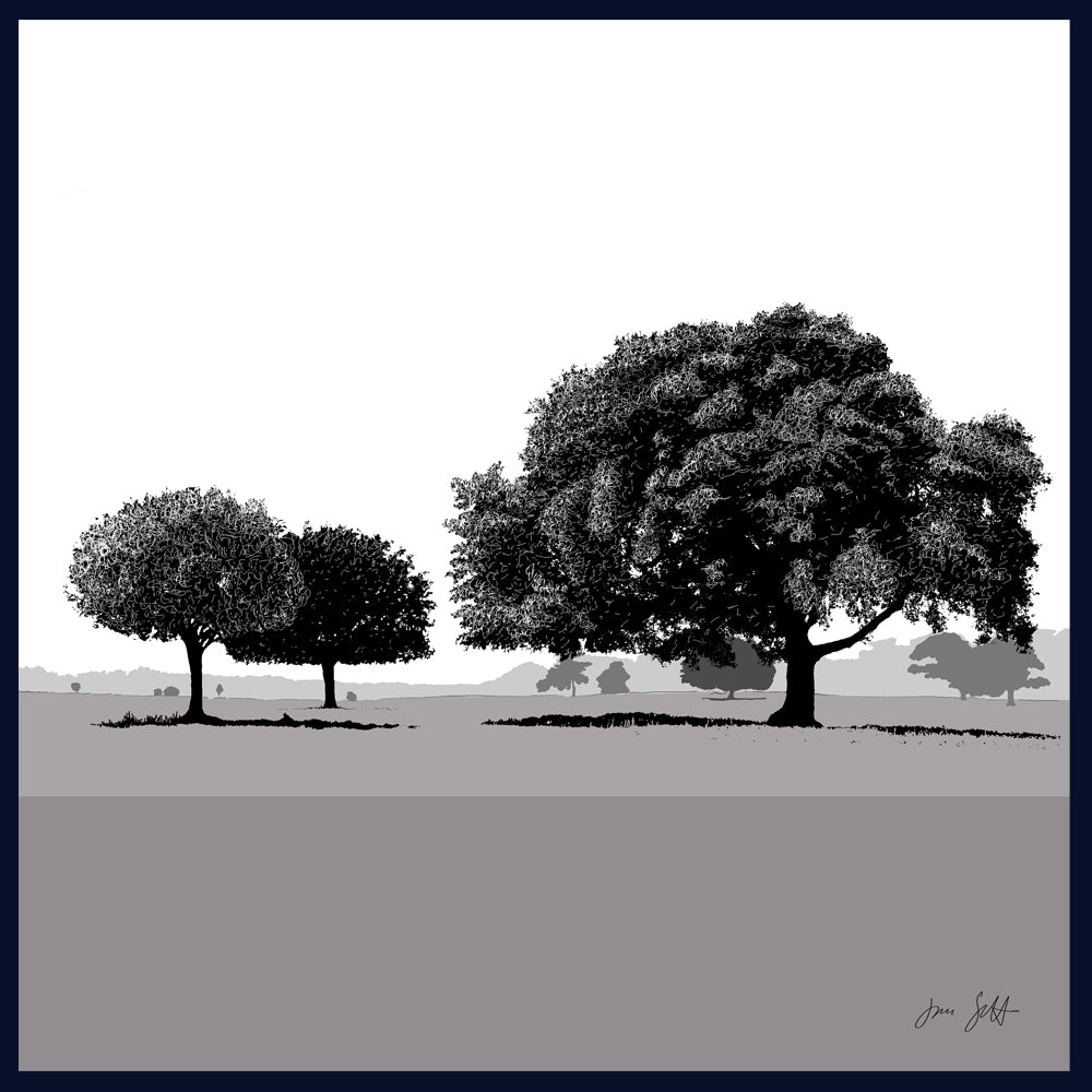 Holm Oaks, Norfolk. Framed fine art print by Jac Scott.