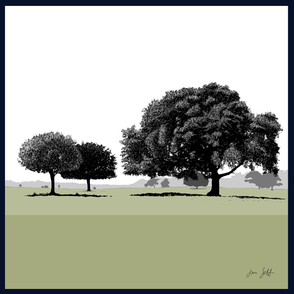 Holm Oaks, Norfolk. Framed fine art print by Jac Scott.