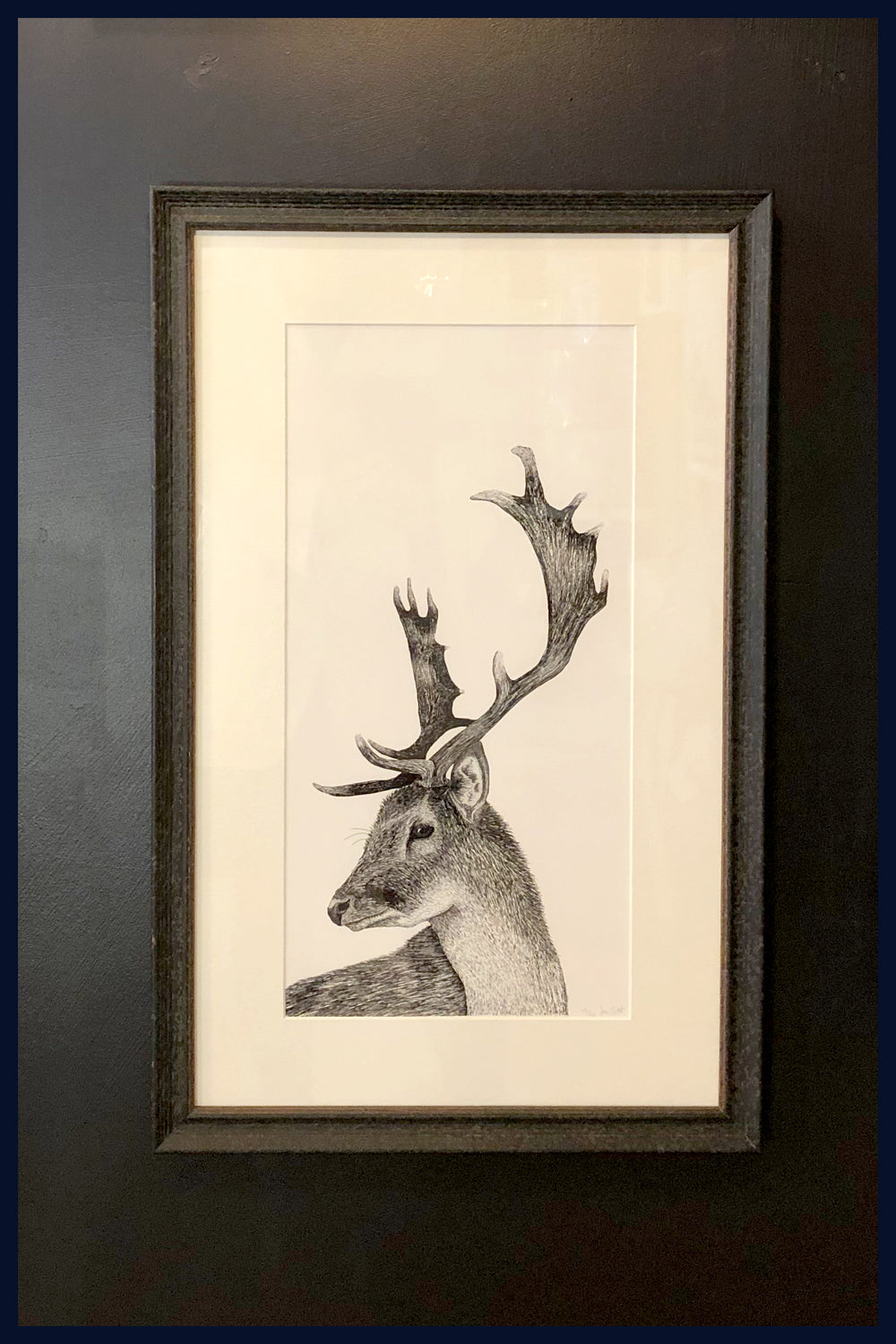 Framed: A Hard Stare: Stag.  Limited Edition of 50 Fine Art Print