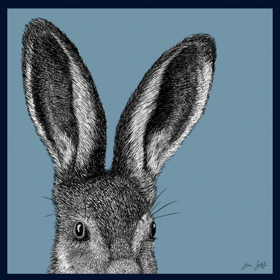 Leveret Norfolk limited edition fine art print by Jac Scott