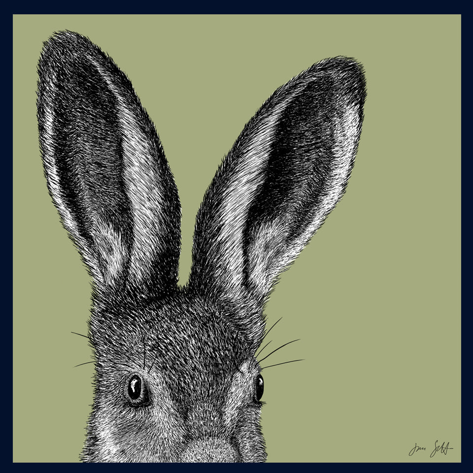 Leveret Norfolk limited edition fine art print by Jac Scott