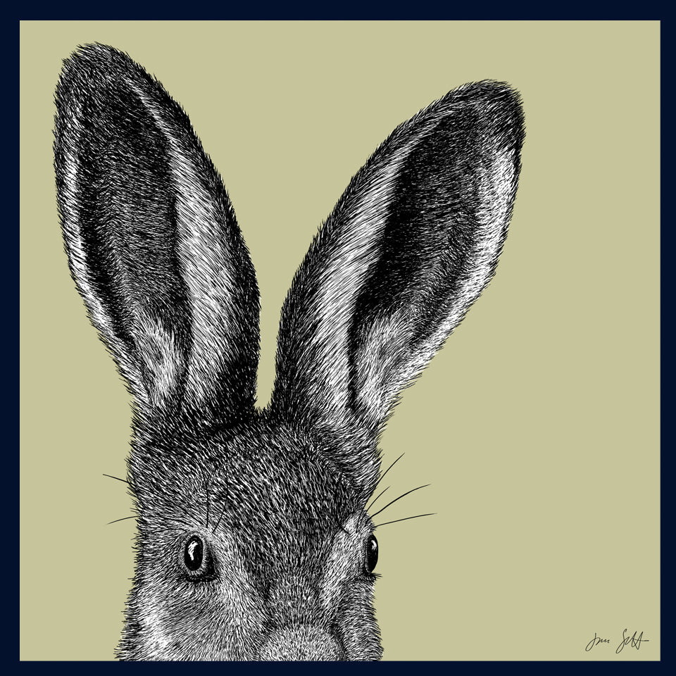 Leveret Norfolk limited edition framed fine art print by Jac Scott