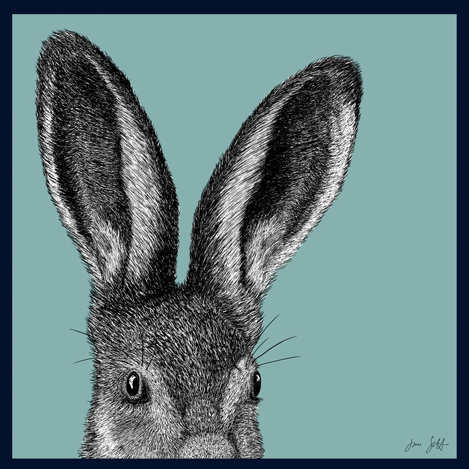 Leveret Norfolk limited edition framed fine art print by Jac Scott