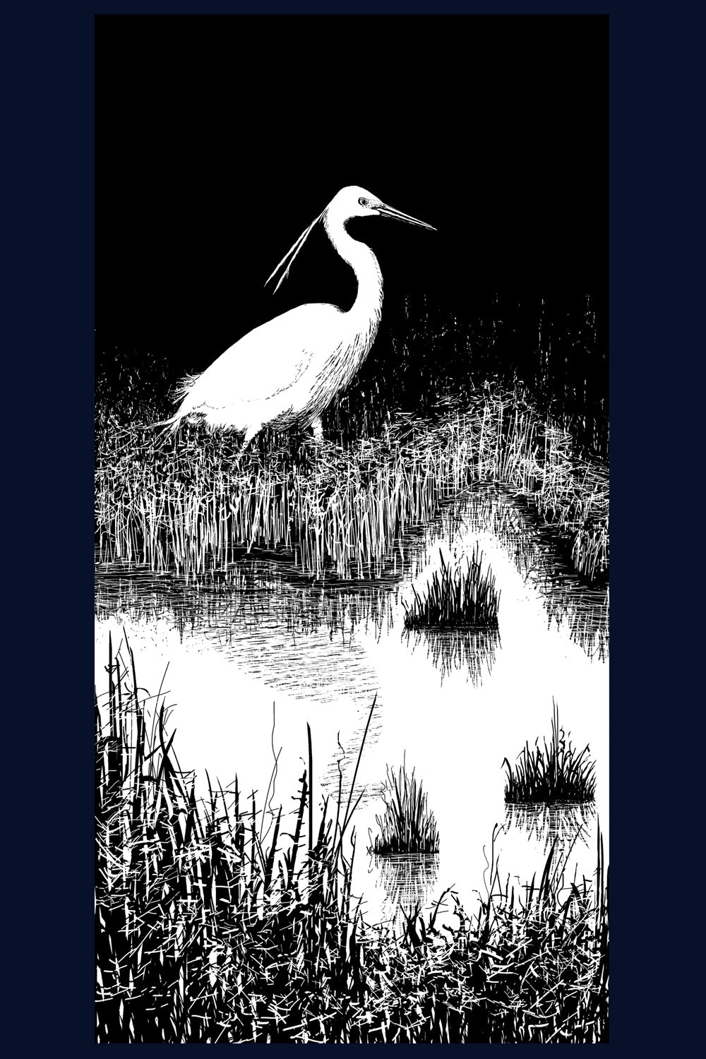 Little Egret. Limited Edition of 50 Fine Art Print