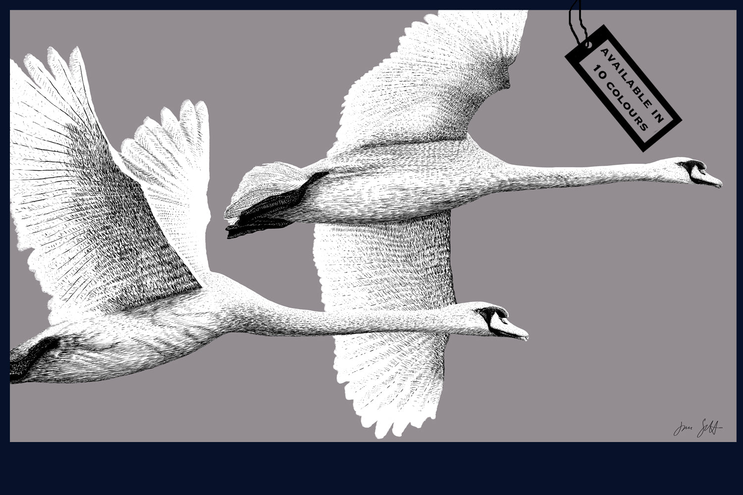 Majestic Flight fine art print by Jac Scott