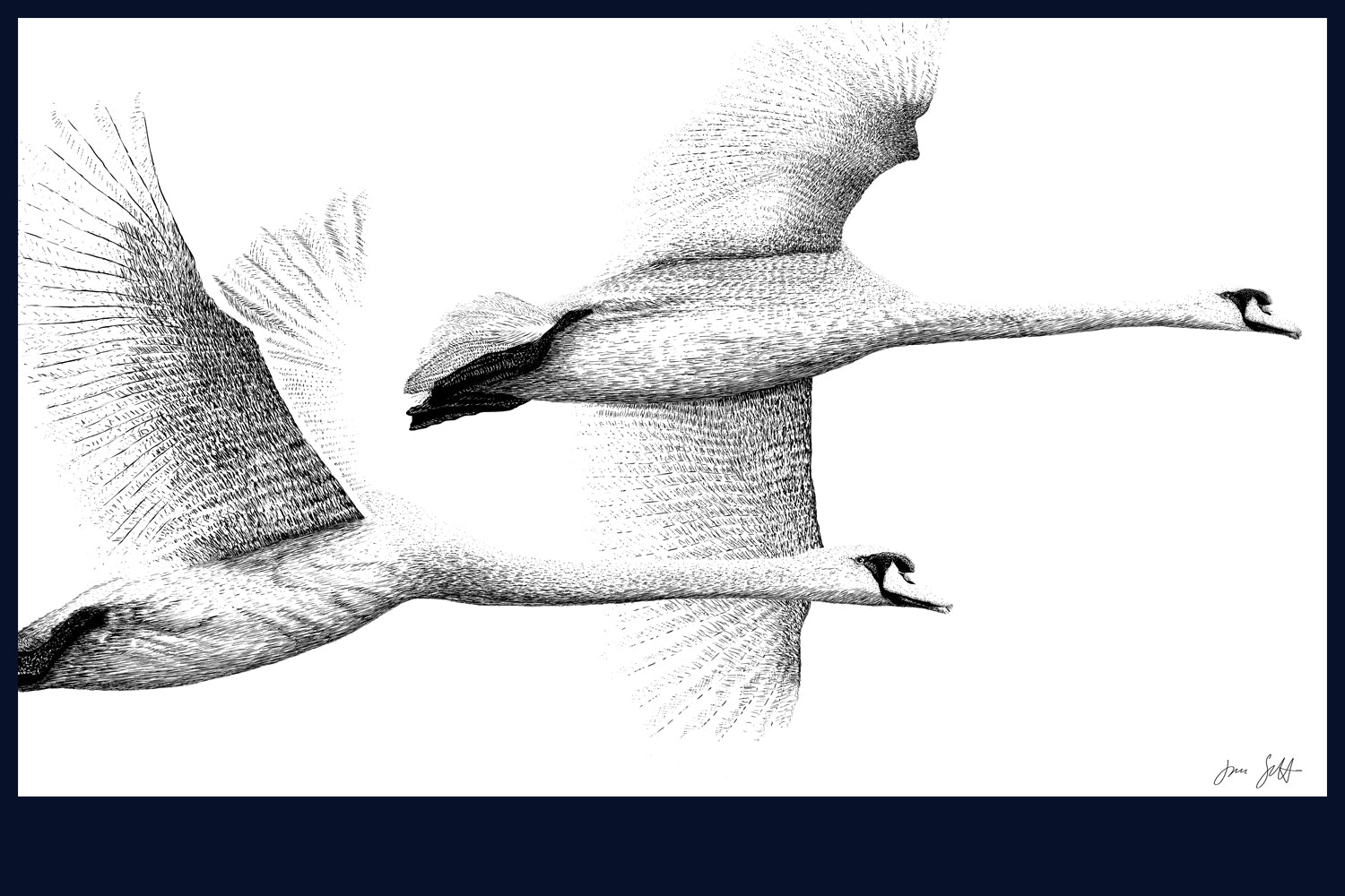 Majestic Flight fine art print by Jac Scott