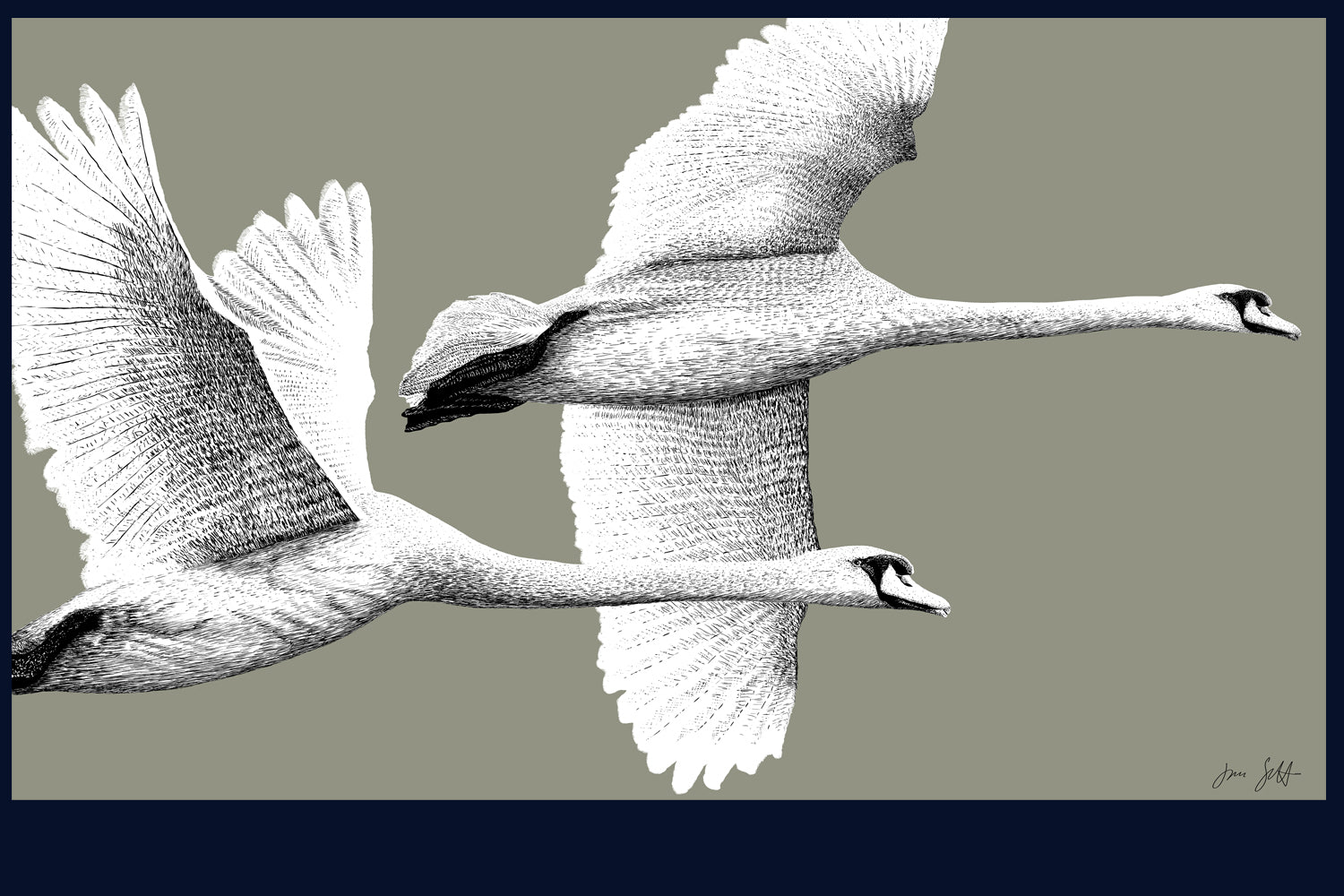 Majestic Flight fine art print by Jac Scott