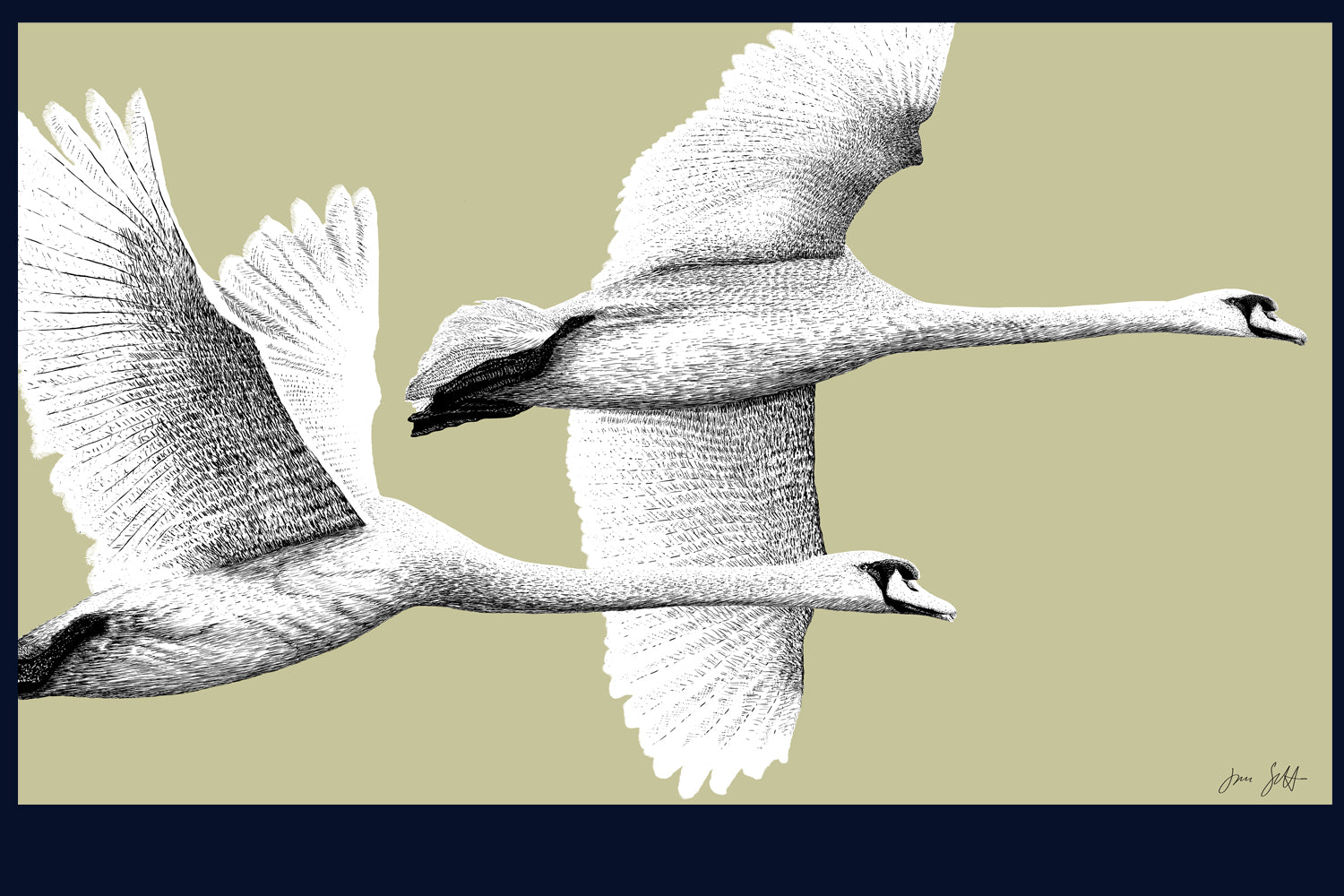 Majestic Flight: Aviary Collection Fine Art Print - available in 10 colours
