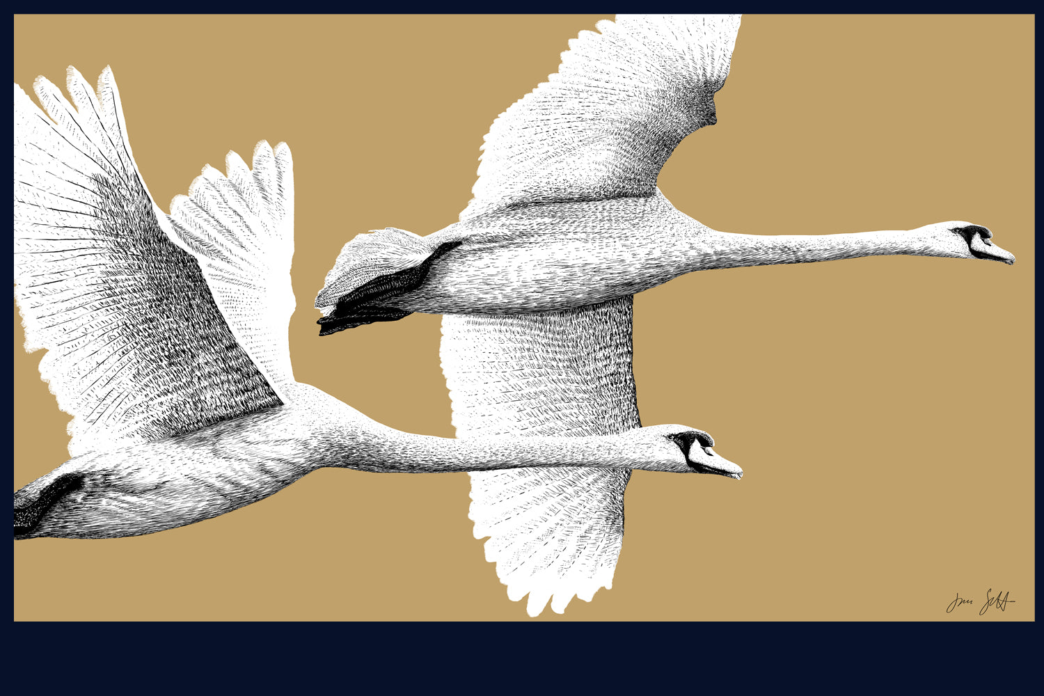 Majestic Flight fine art print by Jac Scott