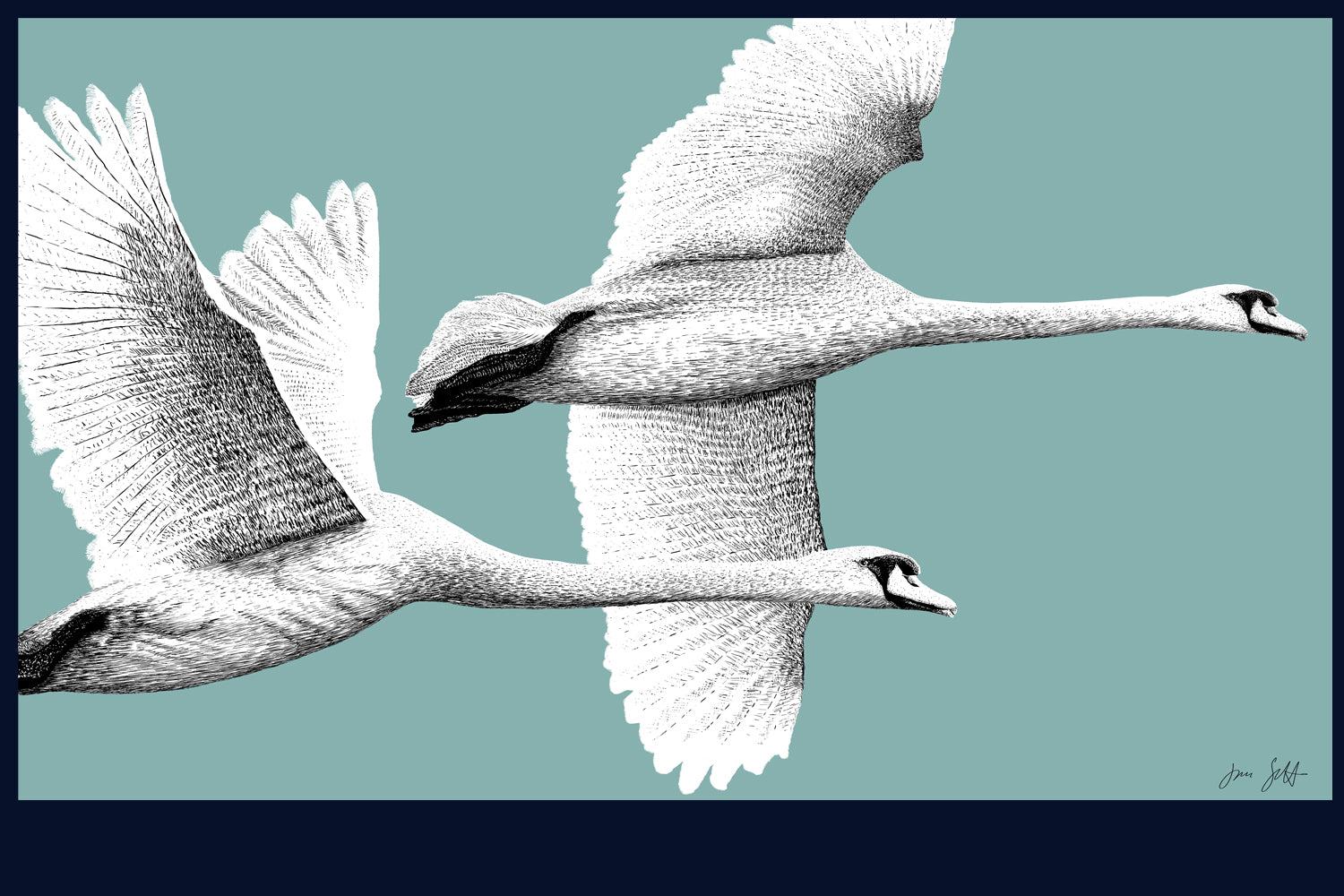 Majestic Flight fine art print by Jac Scott