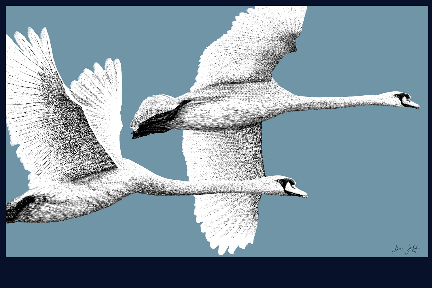 Majestic Flight fine art print by Jac Scott