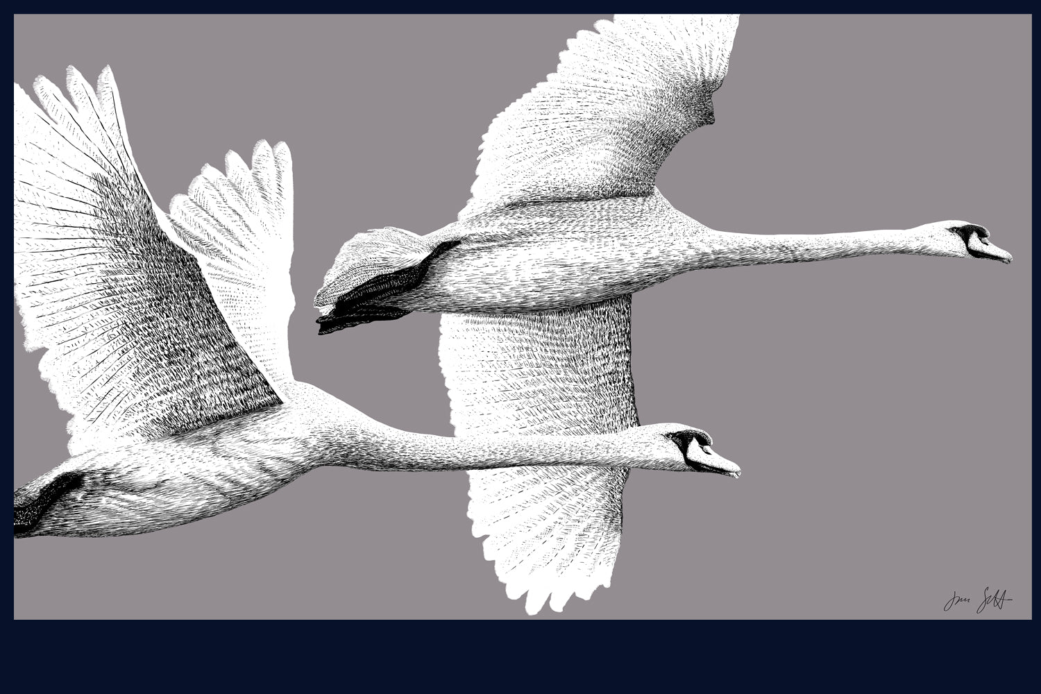 Majestic Flight fine art print by Jac Scott