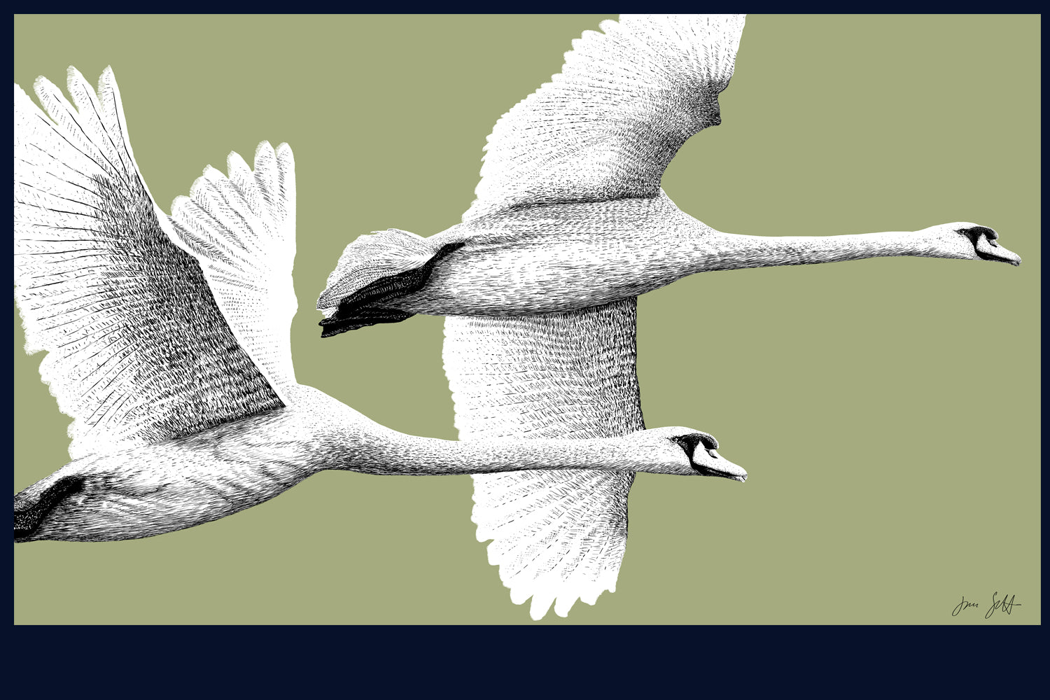 Majestic Flight fine art print by Jac Scott
