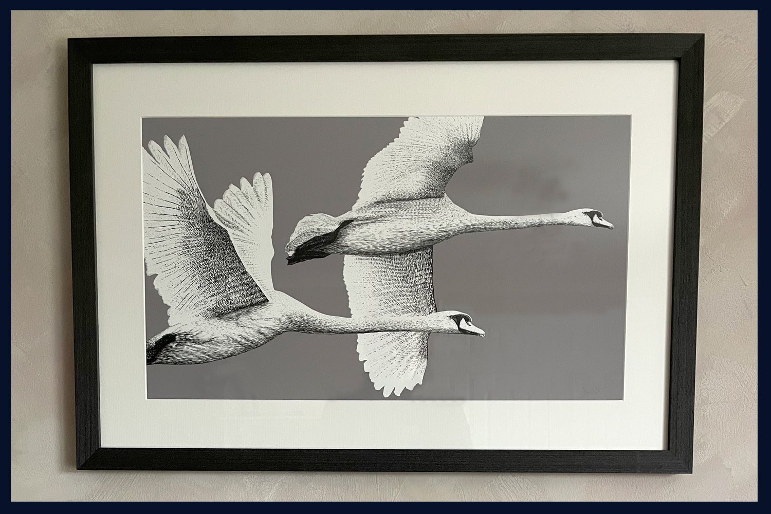 Majestic Flight framed fine art print by Jac Scott