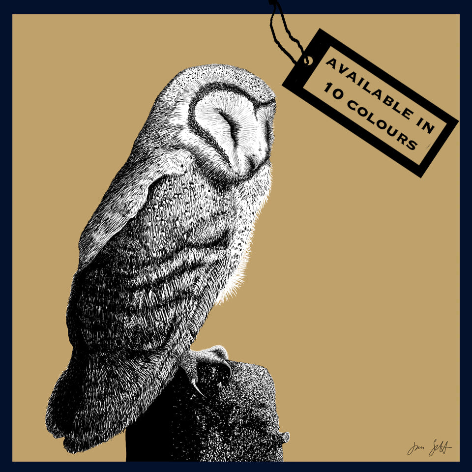 Roost 2 Owl fine art print by Jac Scott