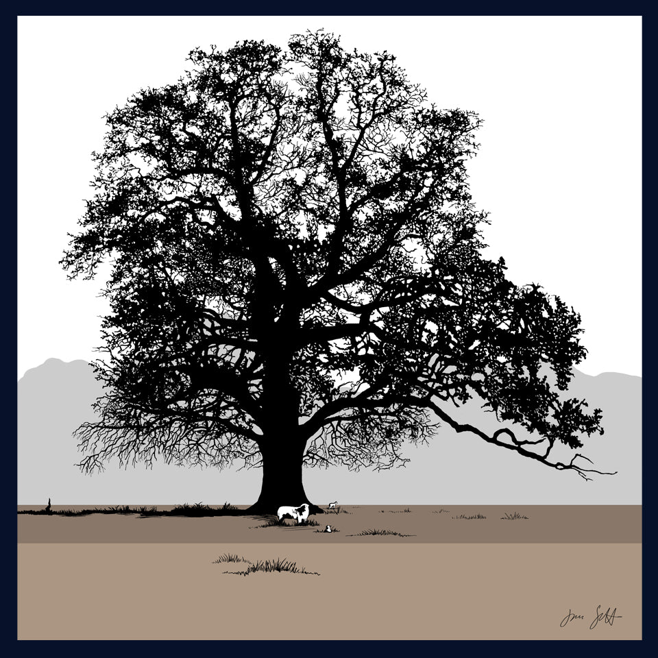 Oak and sheep at Blickling, Norfolk. Fine art print by Jac Scott.