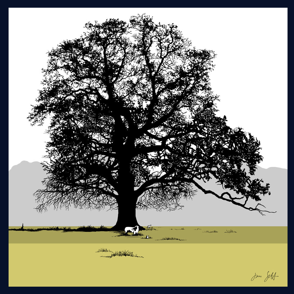 Oak and sheep at Blickling, Norfolk. Fine art print by Jac Scott.