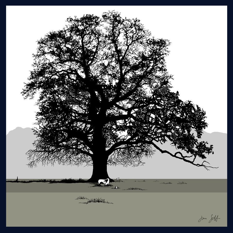 Oak and sheep at Blickling, Norfolk. Fine art print by Jac Scott.