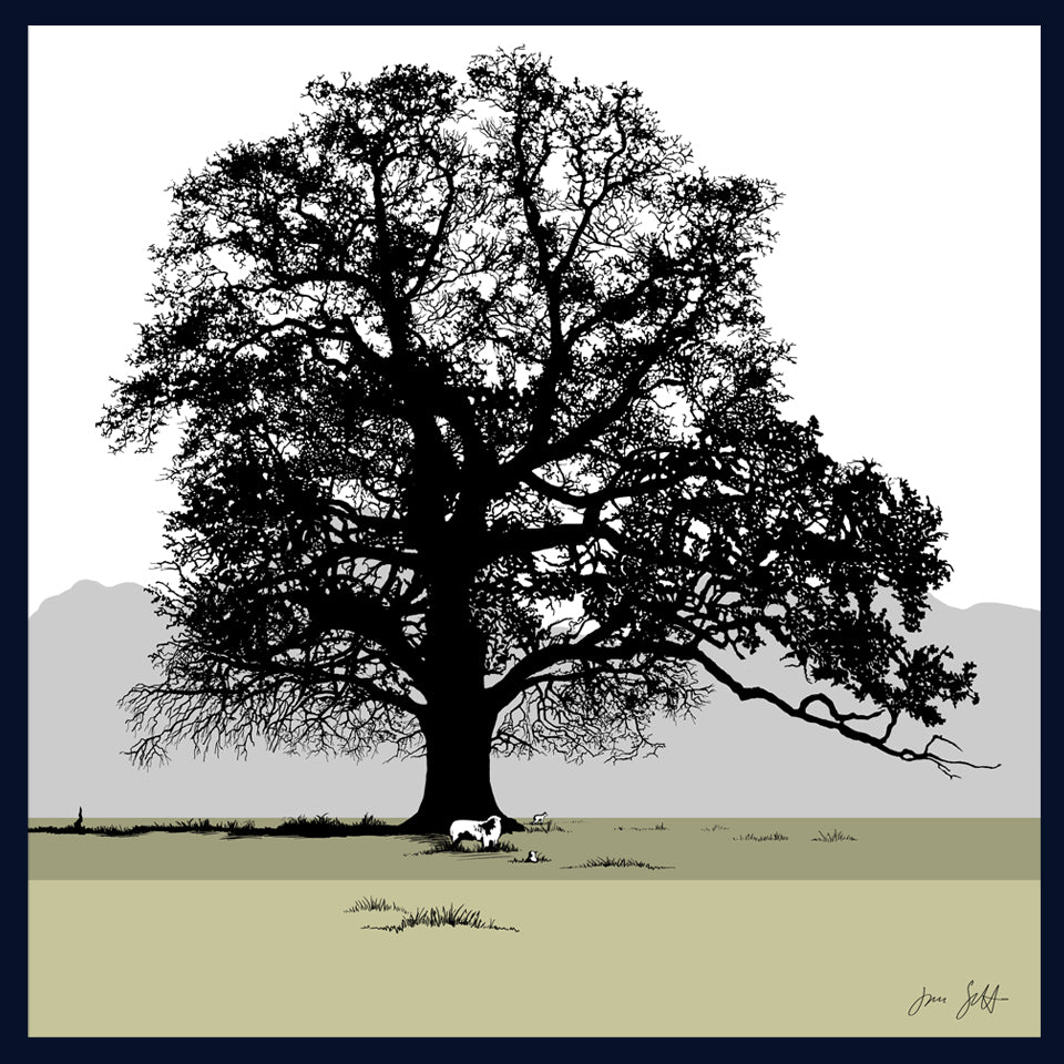 Oak and sheep at Blickling, Norfolk. Fine art print by Jac Scott.