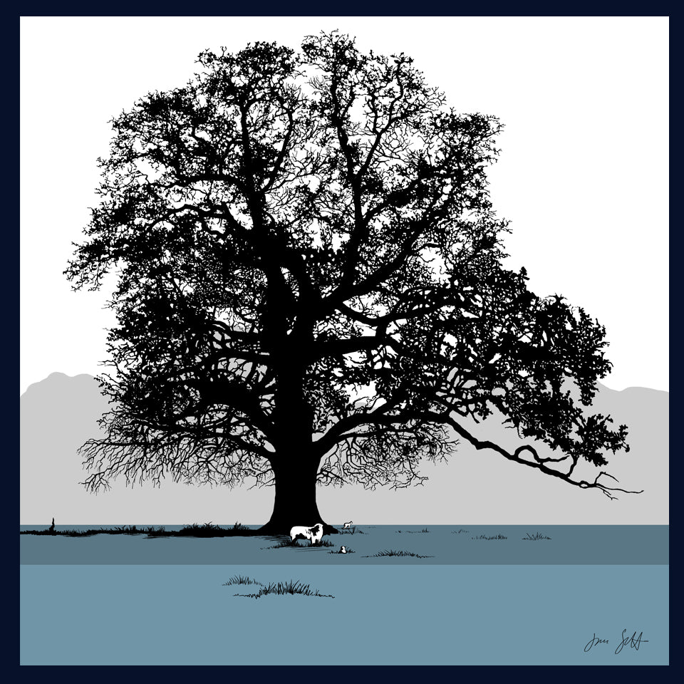 Oak and sheep at Blickling, Norfolk. Fine art print by Jac Scott.