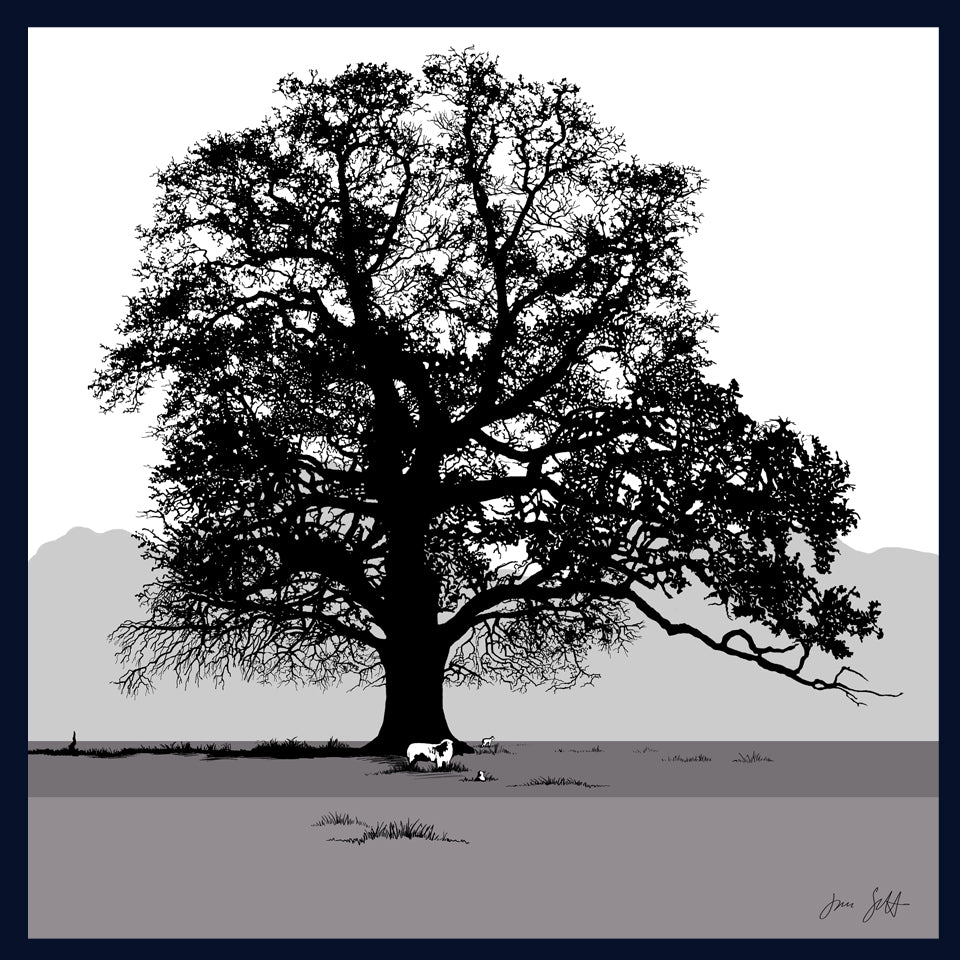 Oak and sheep at Blickling, Norfolk. Fine art print by Jac Scott.