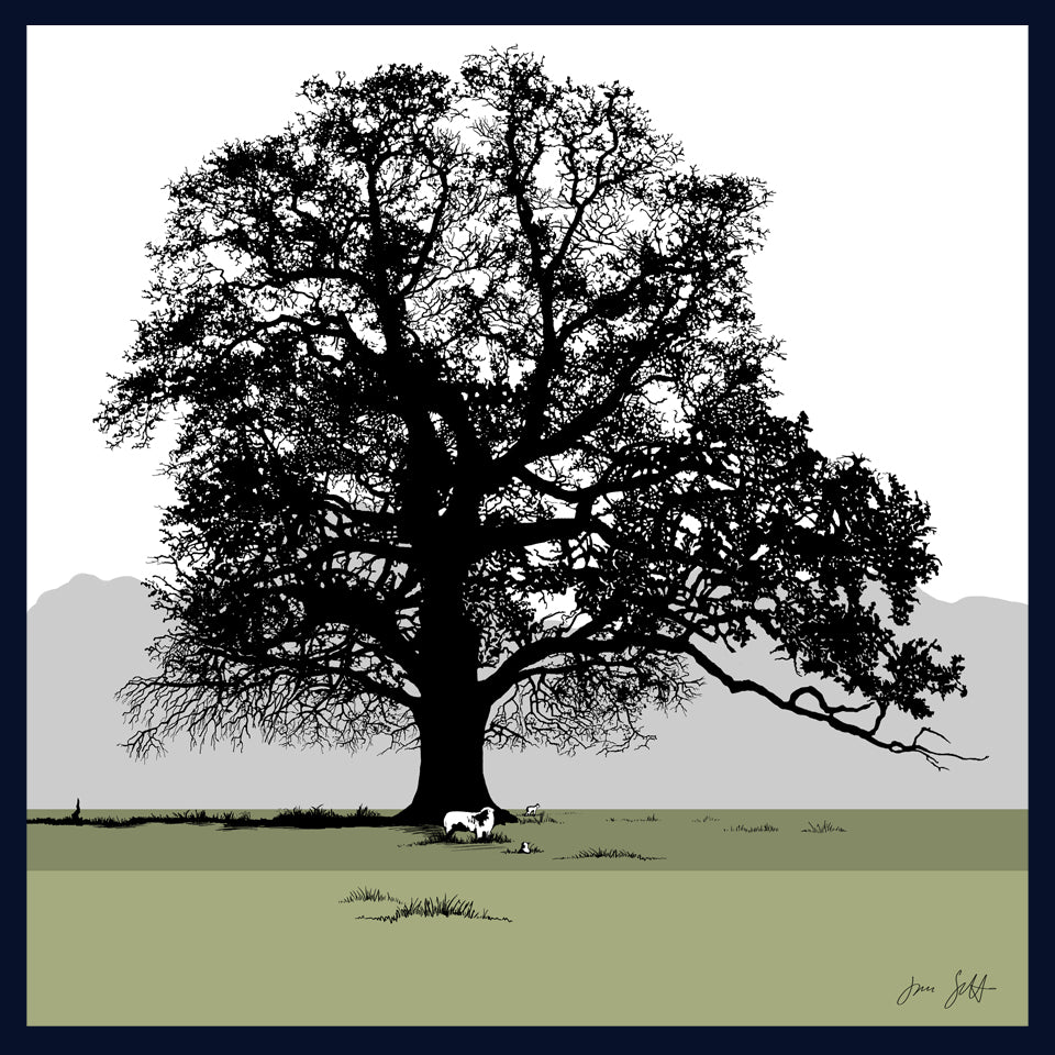 Oak and sheep at Blickling, Norfolk. Fine art print by Jac Scott.