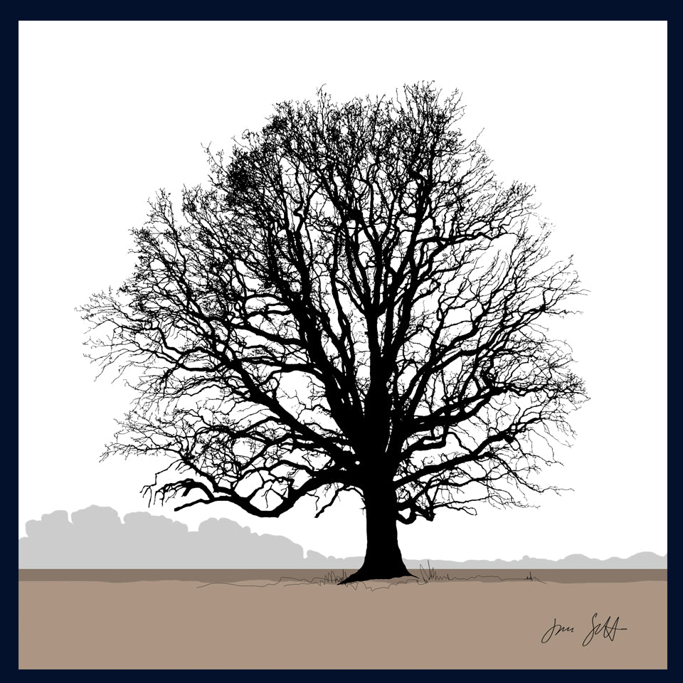 Oak tree, Blickling, Norfolk. Framed fine art print hy Jac Scott.
