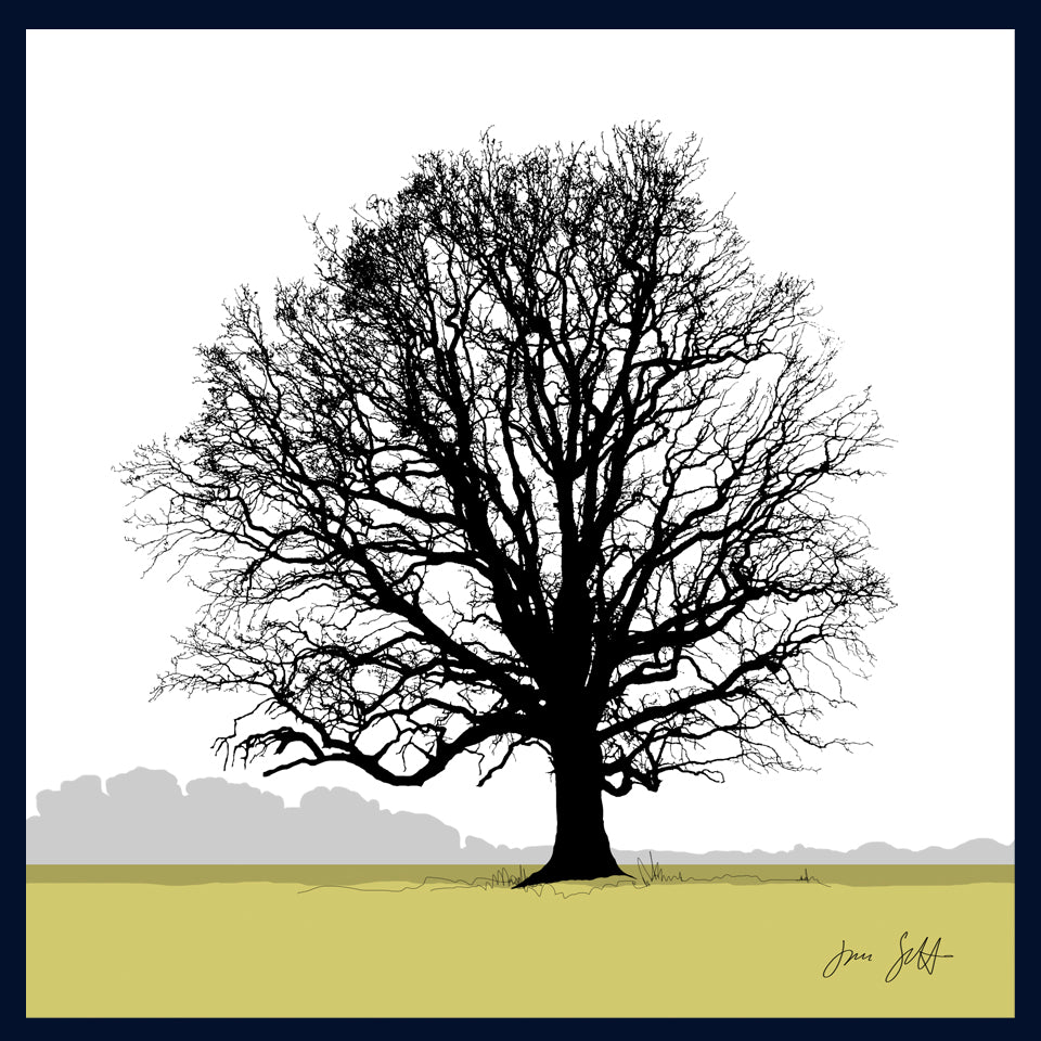Oak tree, Blickling, Norfolk. Framed fine art print hy Jac Scott.