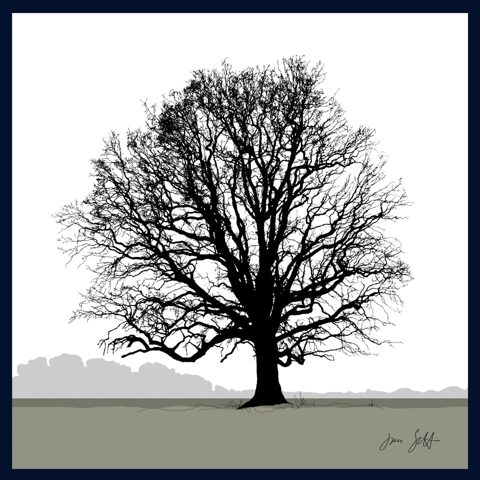 Oak tree, Blickling, Norfolk. Framed fine art print hy Jac Scott.