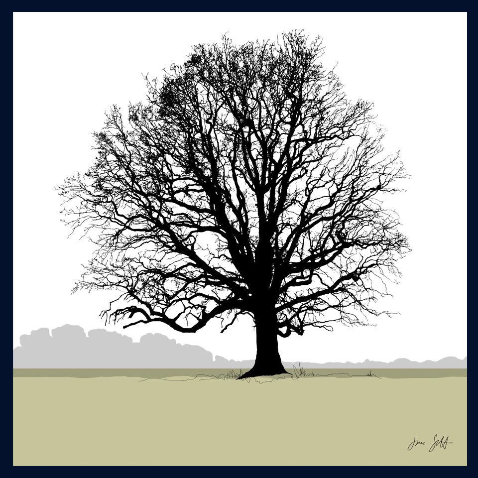 Oak tree, Blickling, Norfolk. Framed fine art print hy Jac Scott.
