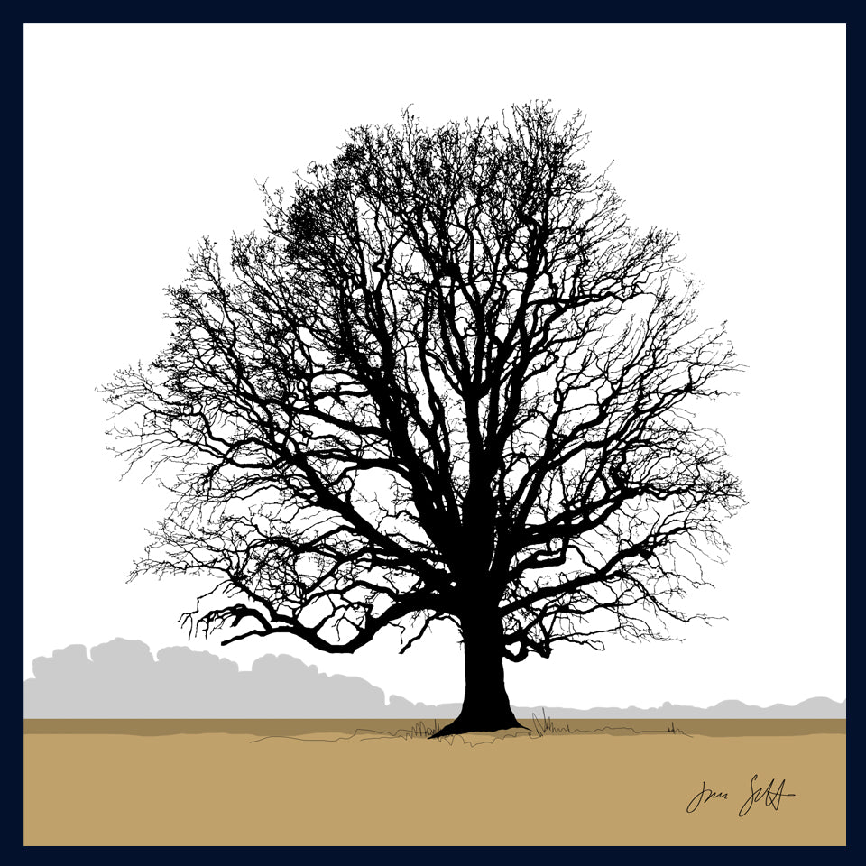 Oak tree, Blickling, Norfolk. Framed fine art print hy Jac Scott.