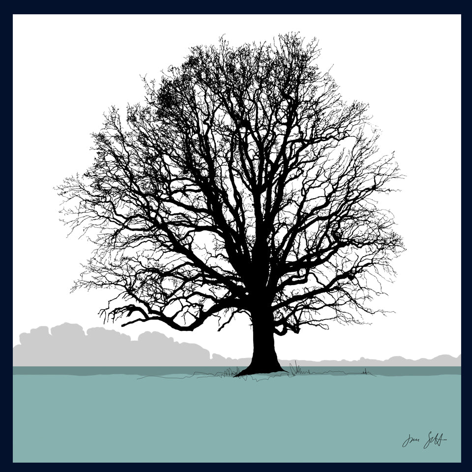 Oak tree, Blickling, Norfolk. Framed fine art print hy Jac Scott.