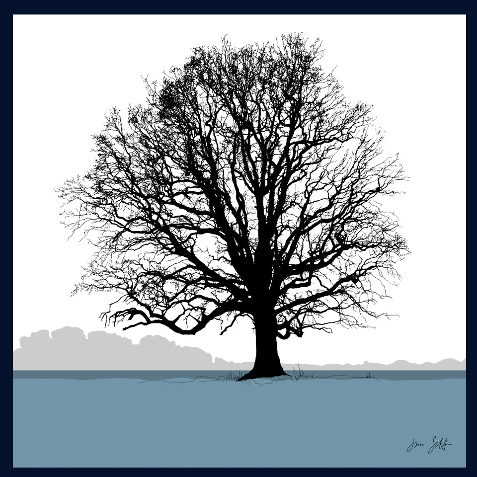 Oak tree, Blickling, Norfolk. Framed fine art print hy Jac Scott.
