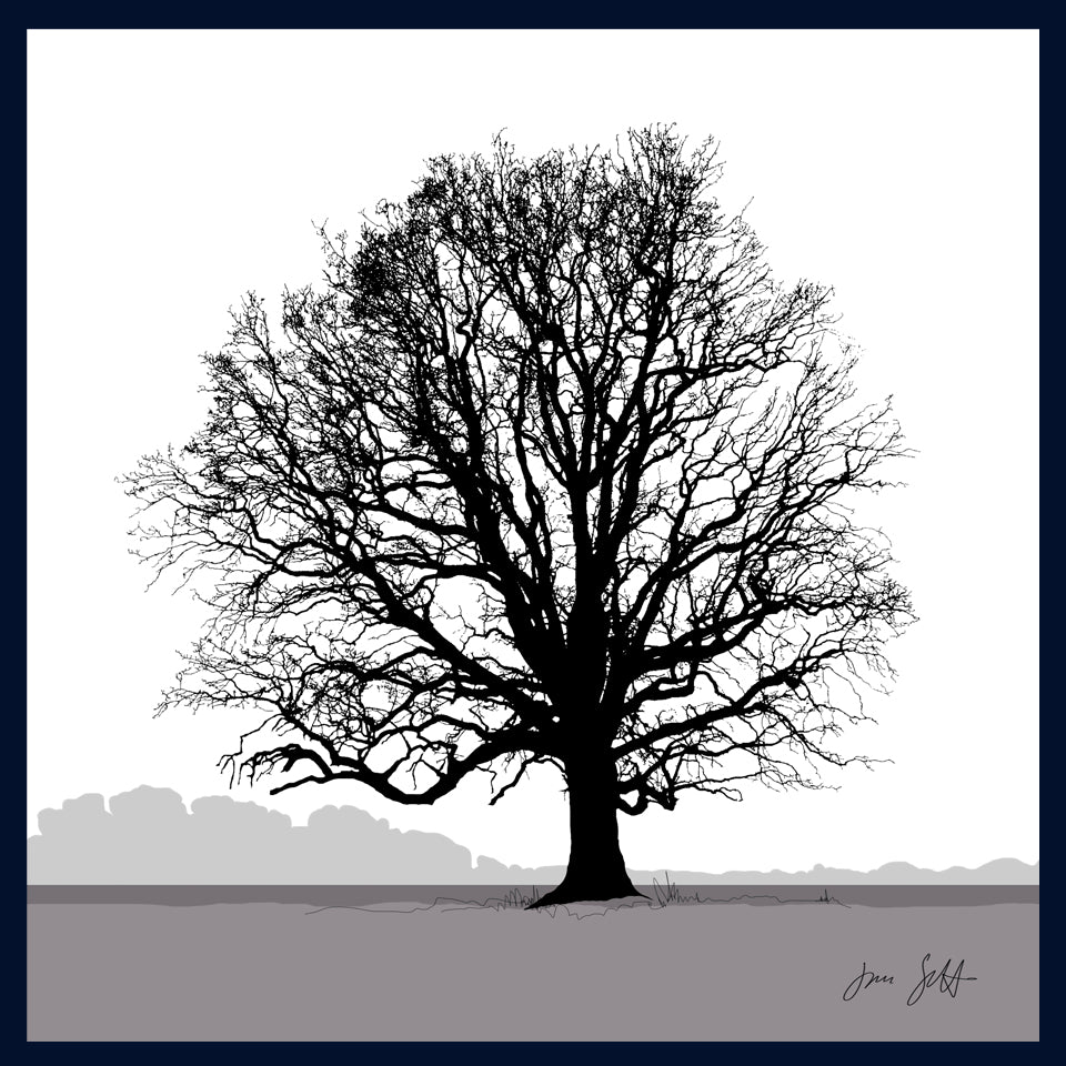 Oak tree, Blickling, Norfolk. Framed fine art print hy Jac Scott.